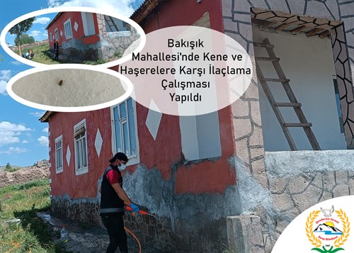 Bakışık Mahallesi'nde Kene ve Haşerelere Karşı İlaçlama Çalışması Yapıldı